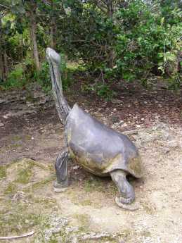 The lost Mauritian Tortoise